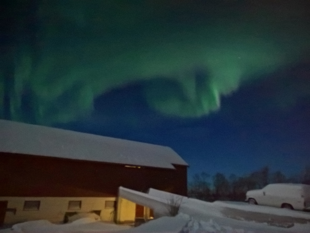 Nordlys i Avži, Kautokeino. Foto: Liv Wenger